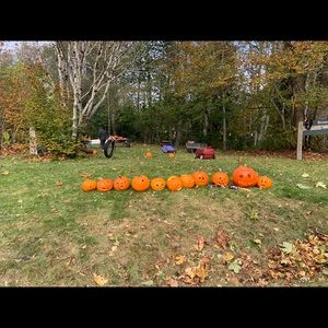 Meet your Posher, Janice